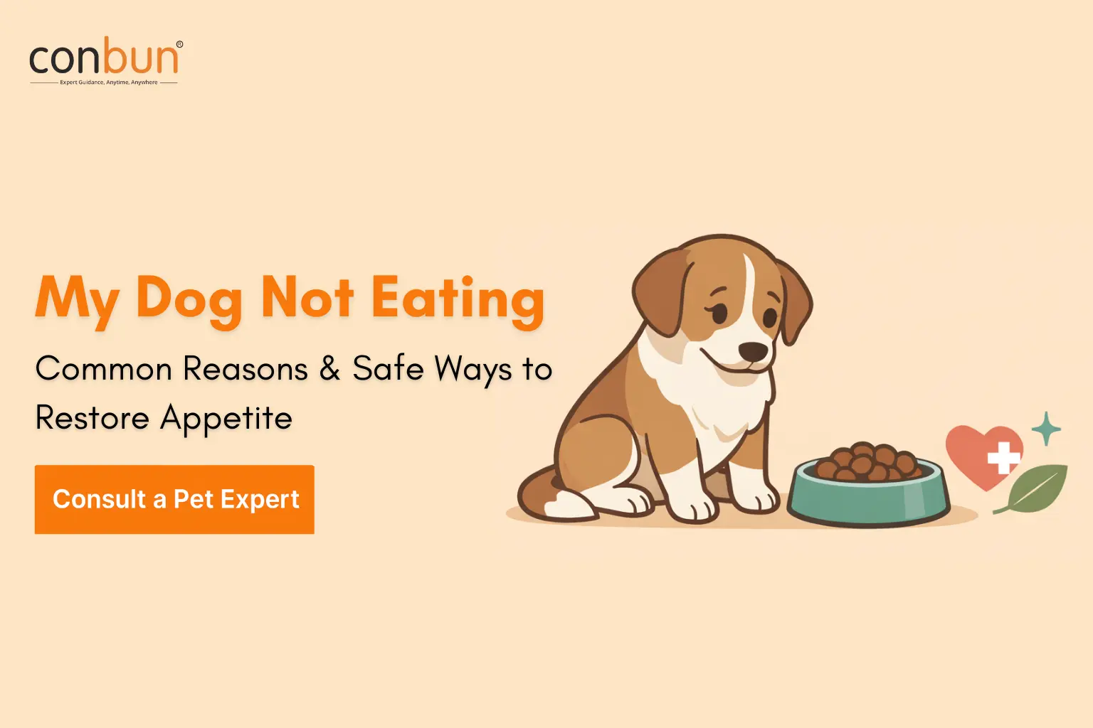 My Dog Not Eating: Common Reasons & Safe Ways to Restore Appetite